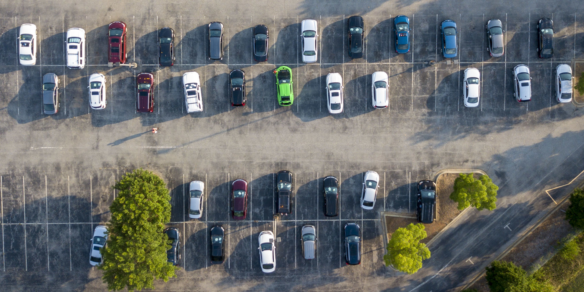 Car BINGO